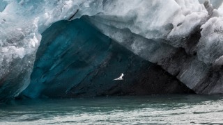 Jokulsarlon - Island