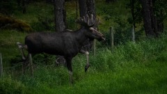 2022-08-04-0Z9_6538-Edit