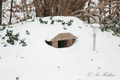 20120129_0201.jpg