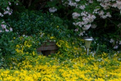 2013-06-21_NK84985.jpg