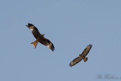 2013-06-15__NK84111-PSedit-3