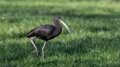 2022-03-07_D85_8772-Edit