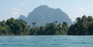 Koha Sok Nationalpark