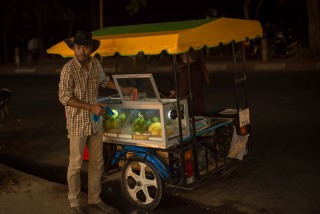 Krabi