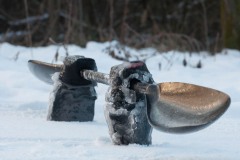 PH_20100103_1395